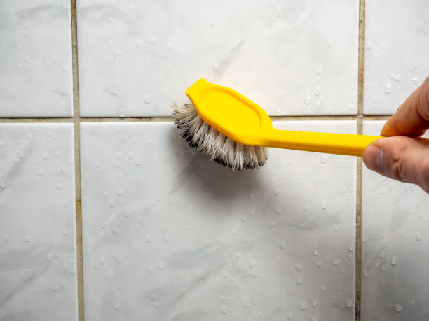 Best Mold Damage Repair  in Spirit Lake, ID